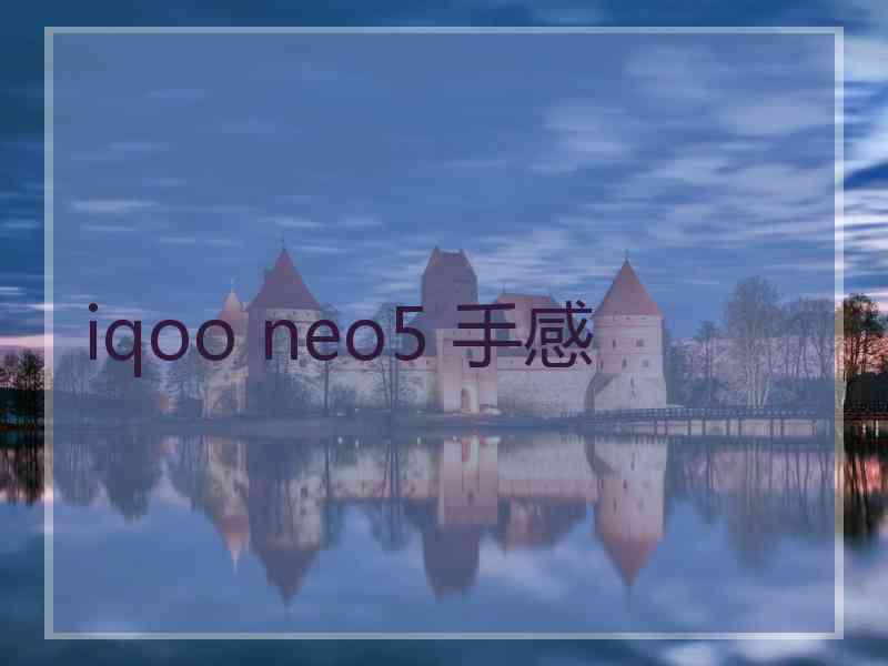 iqoo neo5 手感