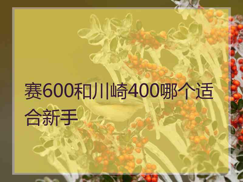 赛600和川崎400哪个适合新手