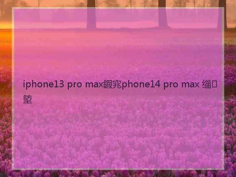 iphone13 pro max鍜宨phone14 pro max 缁埅