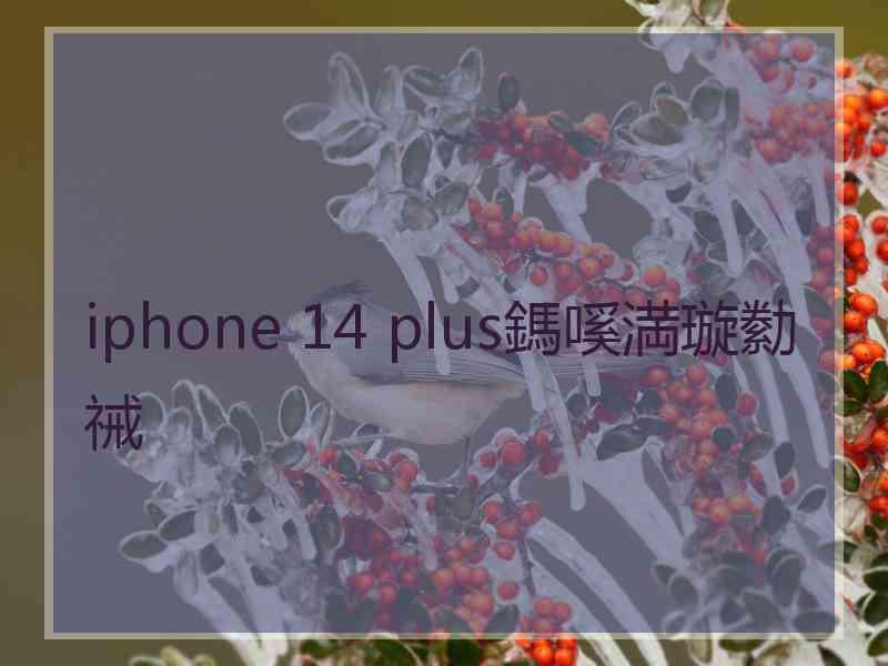 iphone 14 plus鎷嗘満璇勬祴