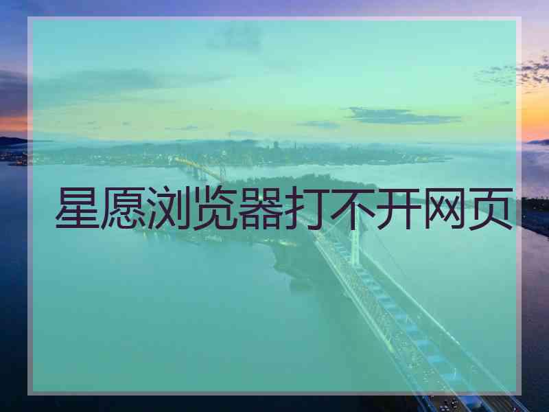 星愿浏览器打不开网页