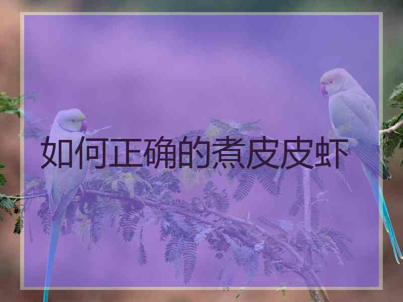 如何正确的煮皮皮虾