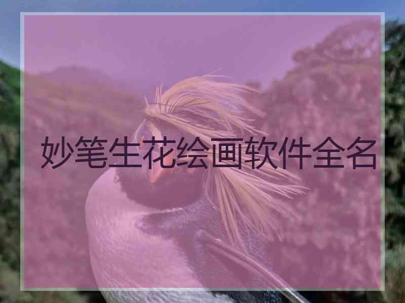 妙笔生花绘画软件全名