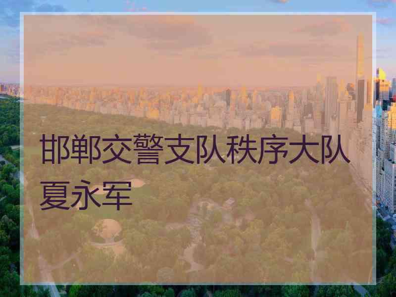 邯郸交警支队秩序大队夏永军