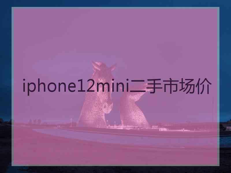 iphone12mini二手市场价