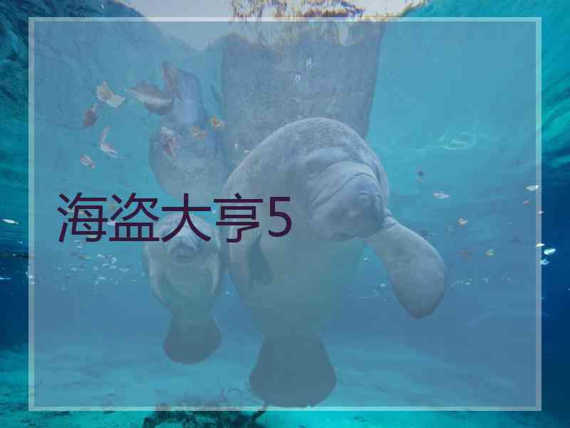 海盗大亨5