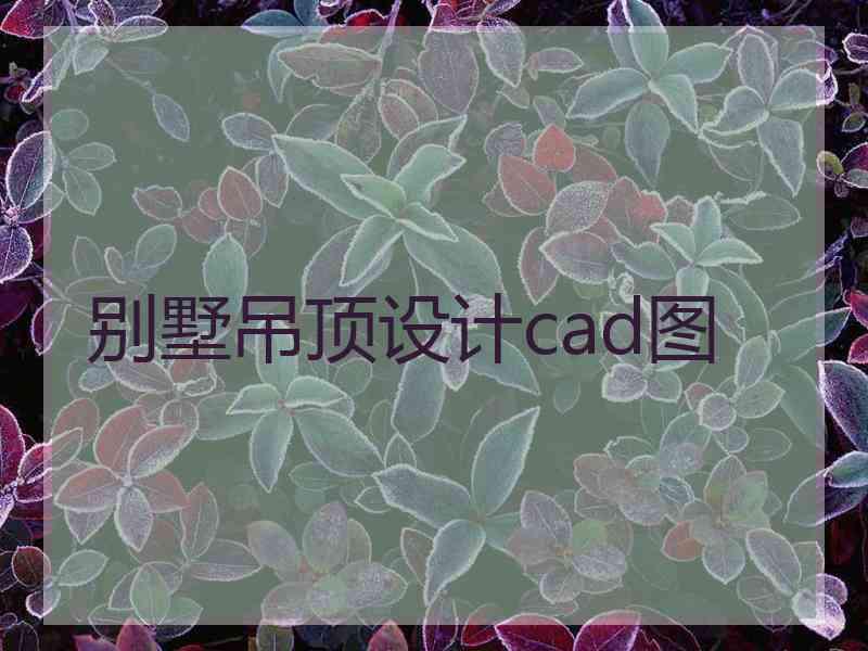 别墅吊顶设计cad图