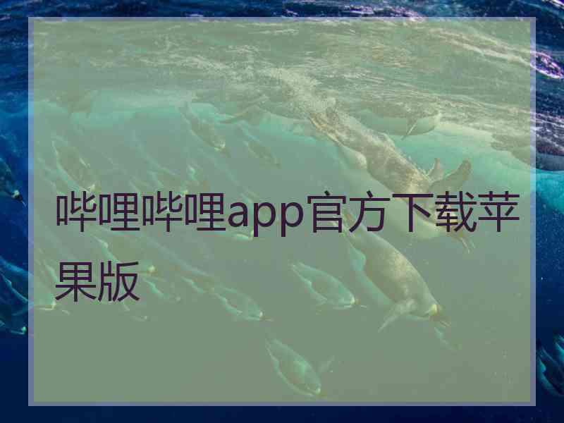 哔哩哔哩app官方下载苹果版