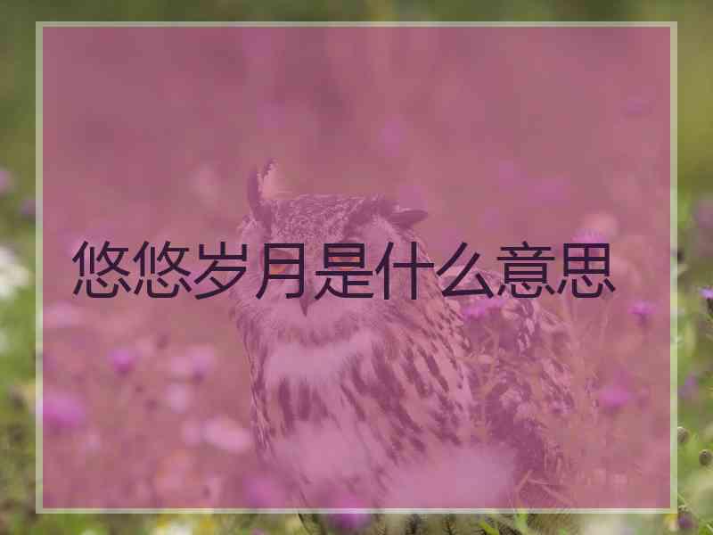 悠悠岁月是什么意思