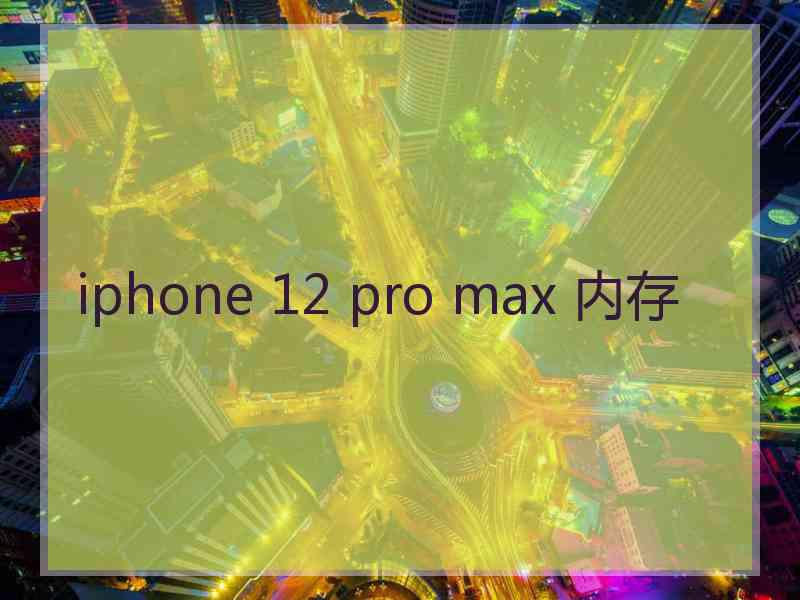 iphone 12 pro max 内存