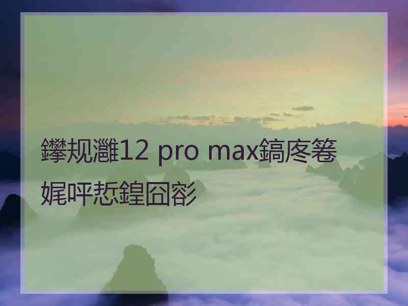 鑻规灉12 pro max鎬庝箞娓呯悊鍠囧彮