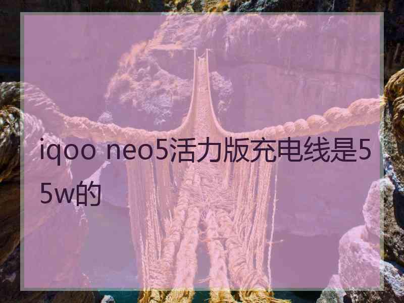 iqoo neo5活力版充电线是55w的