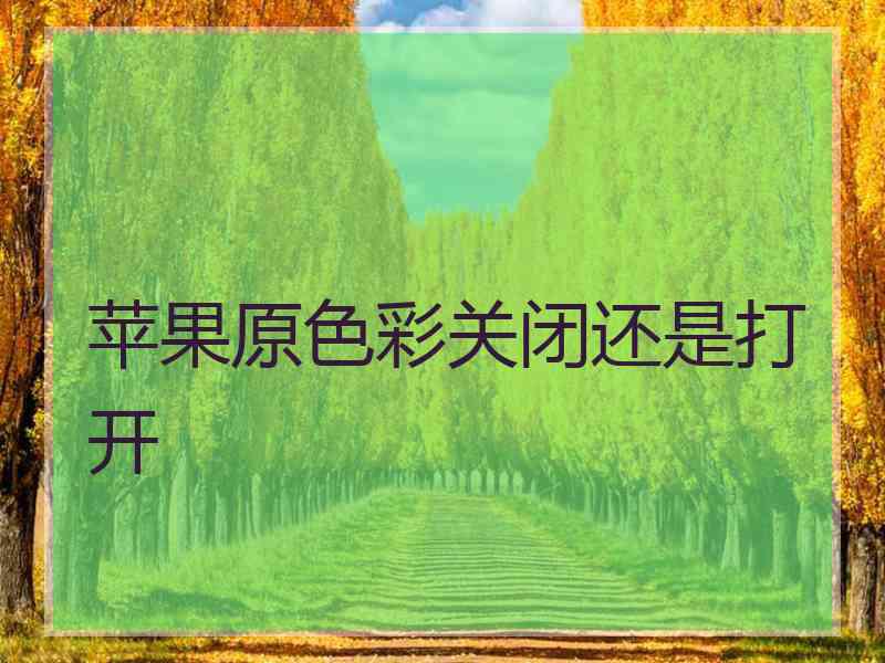 苹果原色彩关闭还是打开