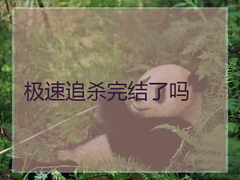 极速追杀完结了吗