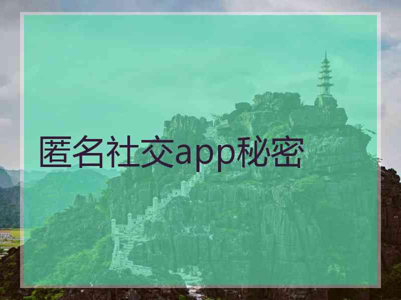 匿名社交app秘密