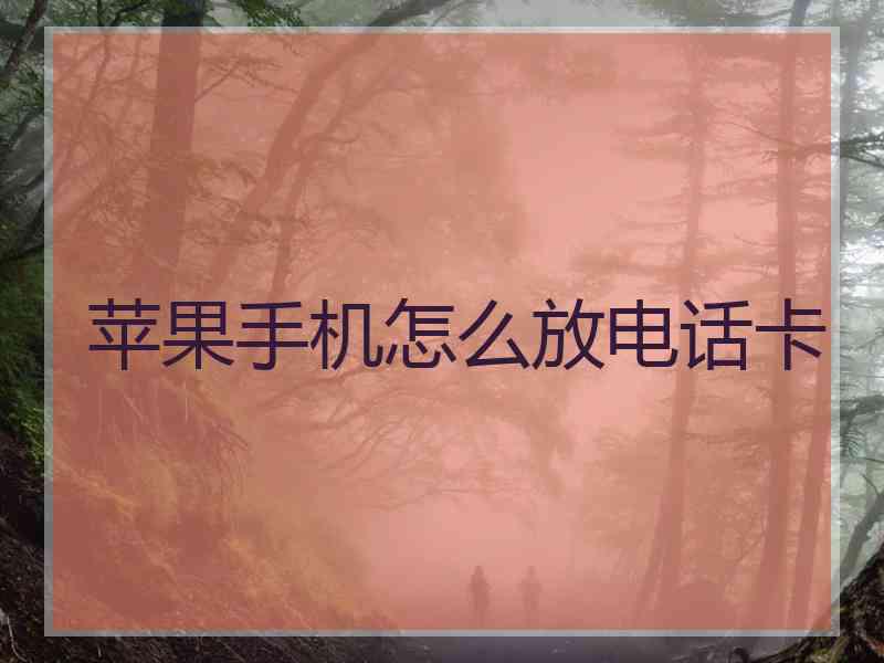 苹果手机怎么放电话卡