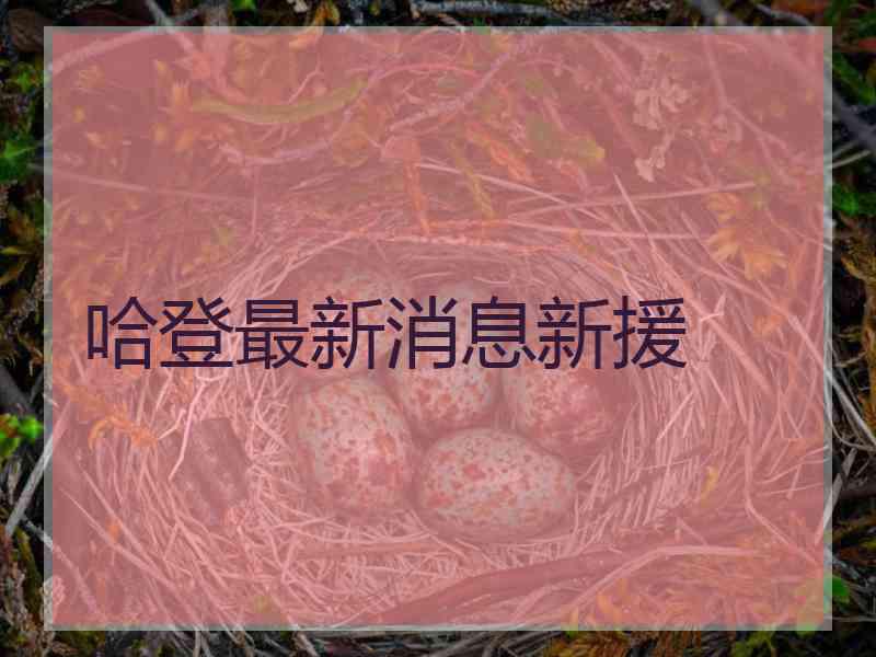 哈登最新消息新援