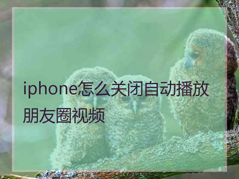 iphone怎么关闭自动播放朋友圈视频