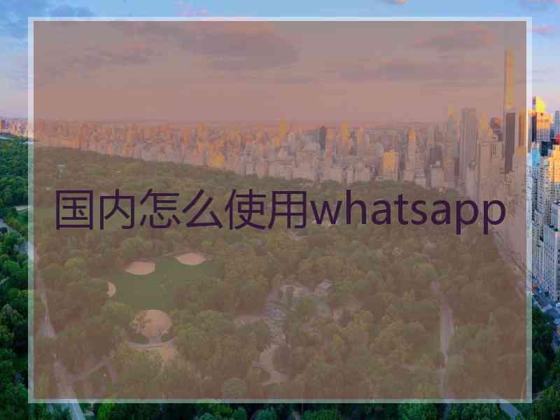 国内怎么使用whatsapp