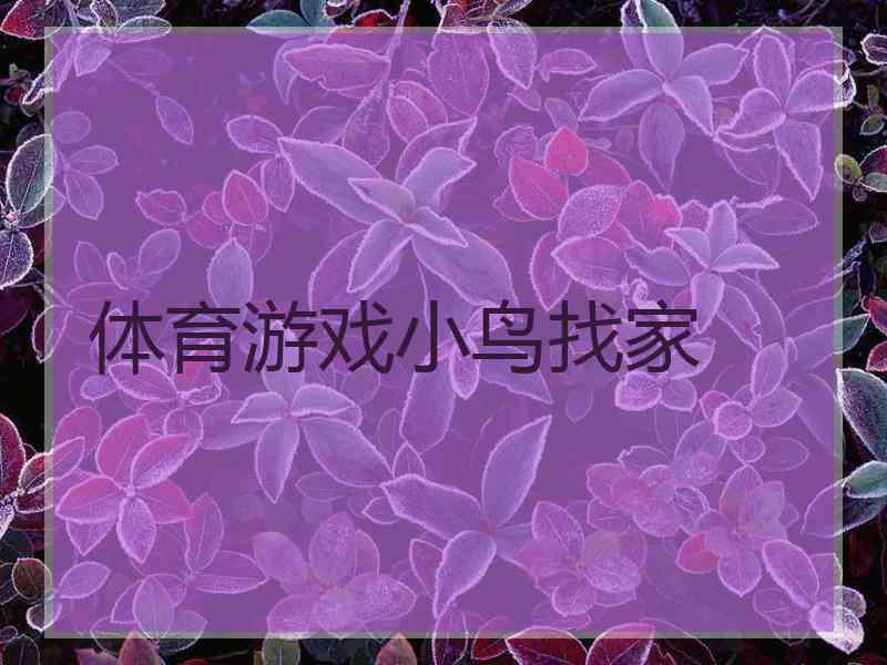 体育游戏小鸟找家