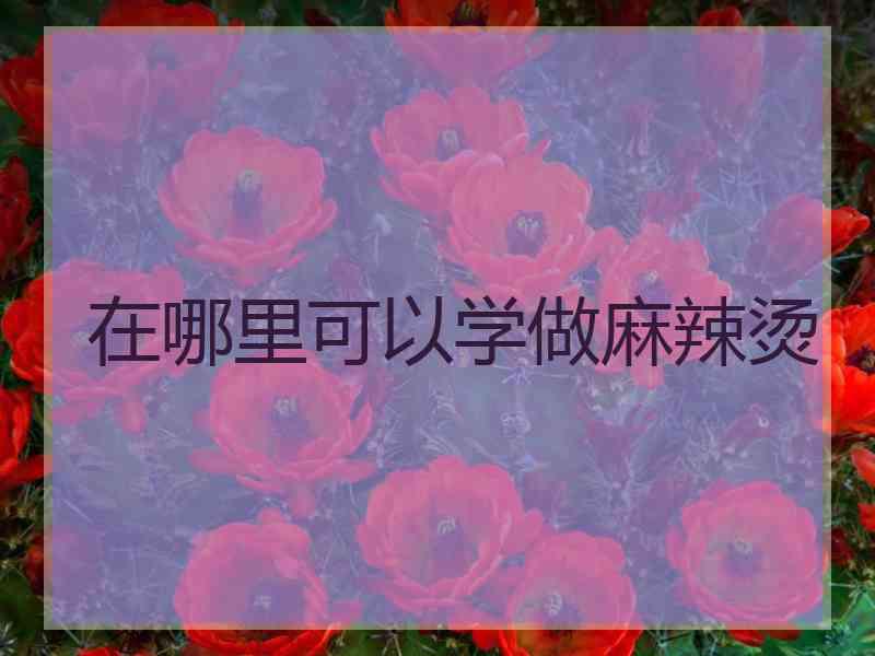 在哪里可以学做麻辣烫