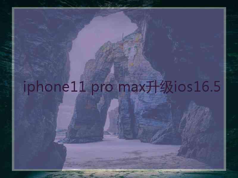 iphone11 pro max升级ios16.5