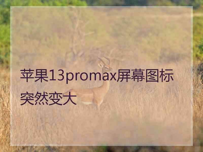 苹果13promax屏幕图标突然变大