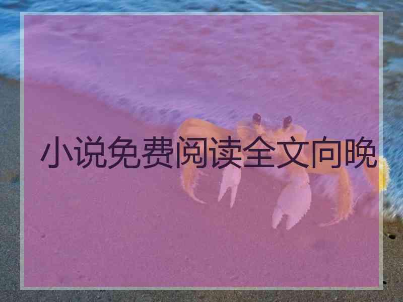 小说免费阅读全文向晚