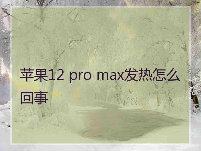 苹果12 pro max发热怎么回事