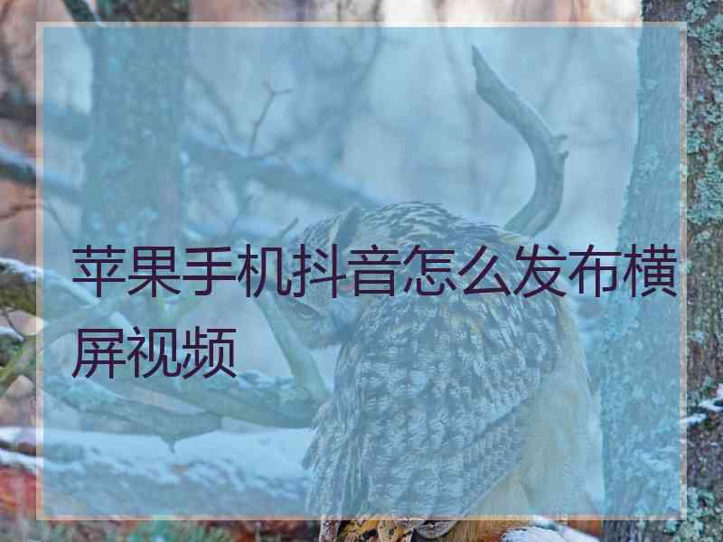 苹果手机抖音怎么发布横屏视频