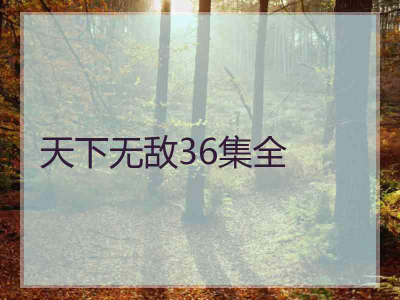 天下无敌36集全