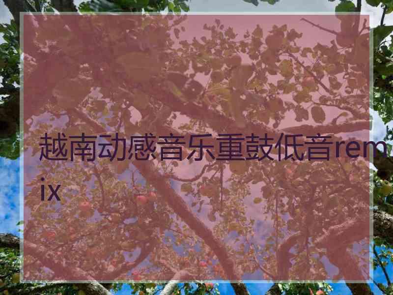 越南动感音乐重鼓低音remix