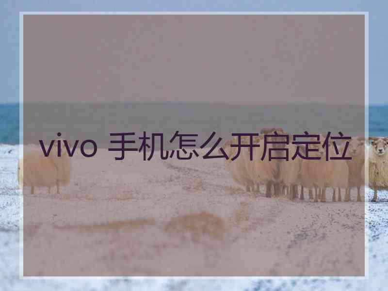 vivo 手机怎么开启定位