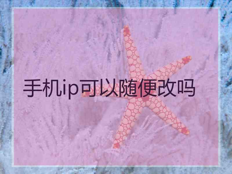 手机ip可以随便改吗