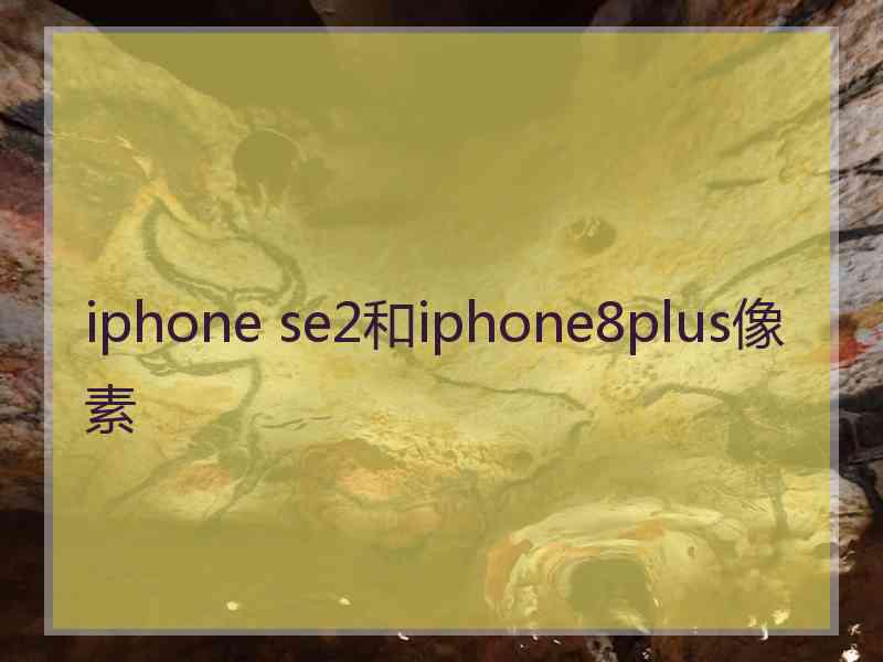 iphone se2和iphone8plus像素