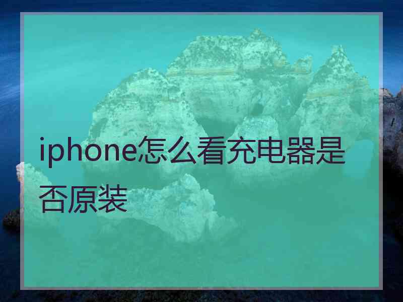 iphone怎么看充电器是否原装