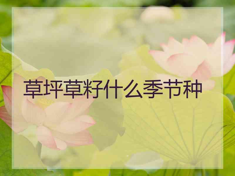 草坪草籽什么季节种