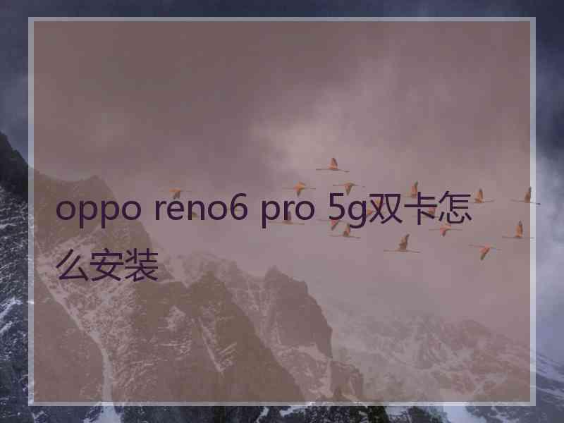 oppo reno6 pro 5g双卡怎么安装