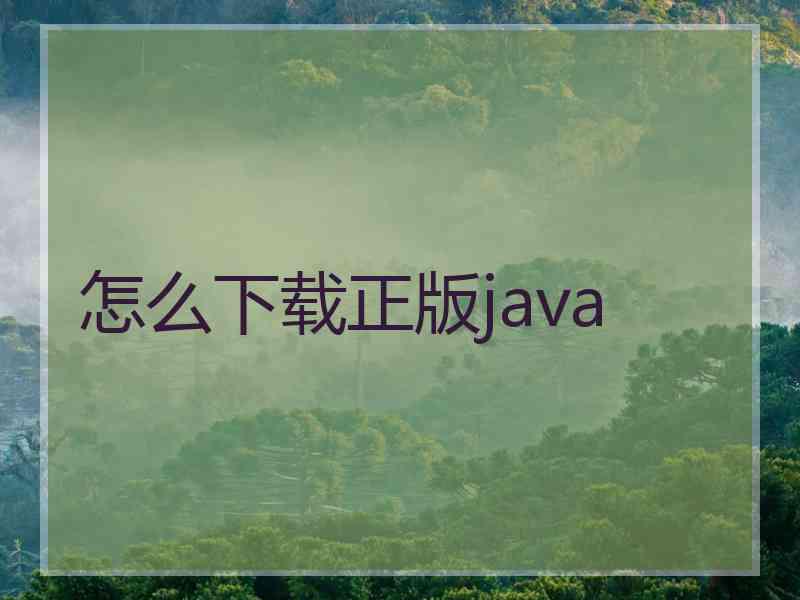 怎么下载正版java