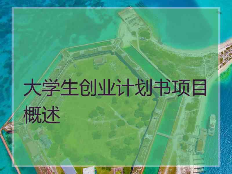 大学生创业计划书项目概述