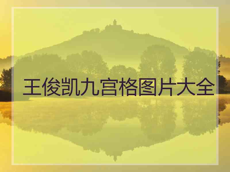 王俊凯九宫格图片大全