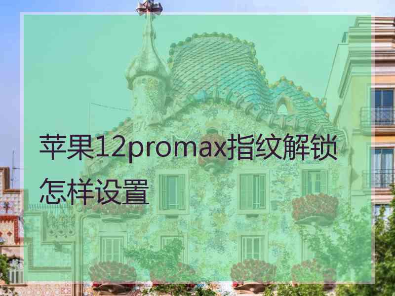 苹果12promax指纹解锁怎样设置