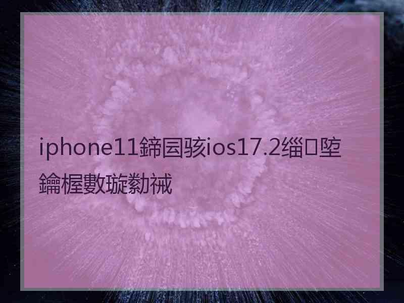 iphone11鍗囩骇ios17.2缁埅鑰楃數璇勬祴