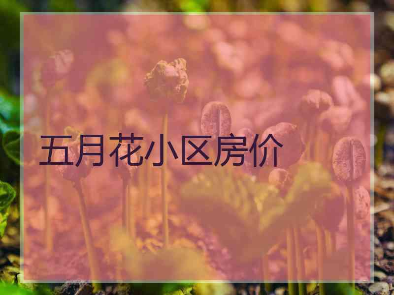 五月花小区房价