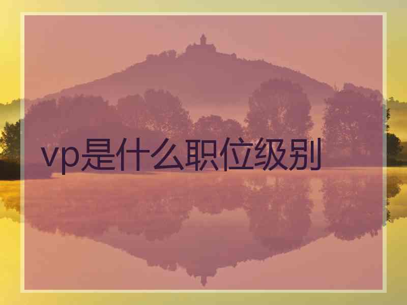 vp是什么职位级别