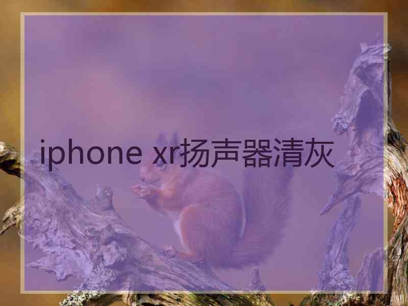 iphone xr扬声器清灰