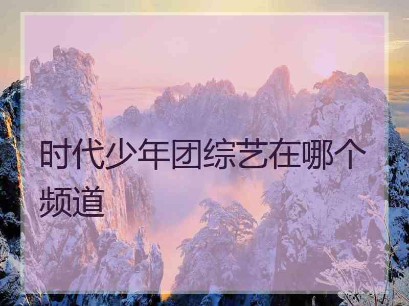 时代少年团综艺在哪个频道