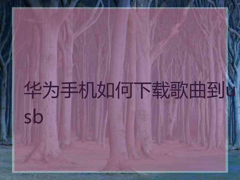 华为手机如何下载歌曲到usb