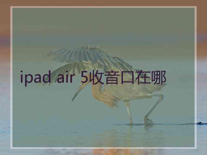 ipad air 5收音口在哪