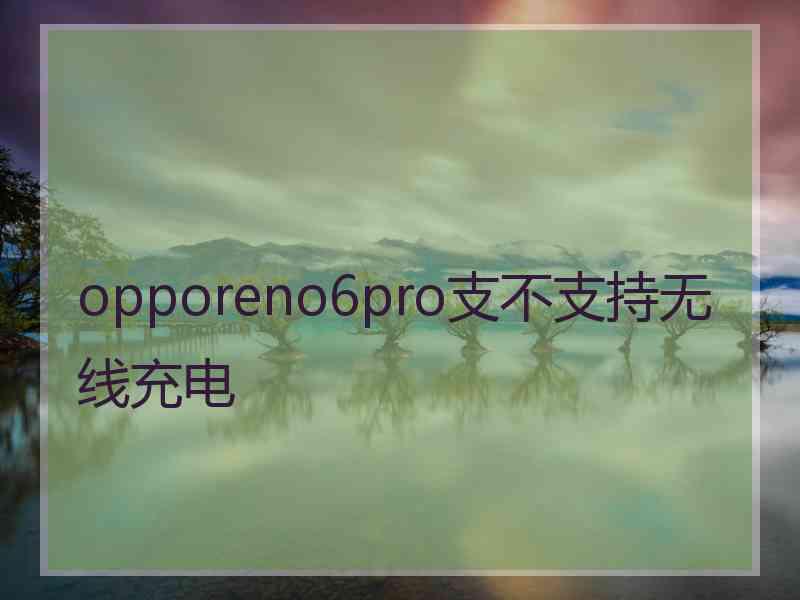 opporeno6pro支不支持无线充电